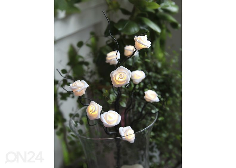 Koristeoksat Rosie kuvasuurennos