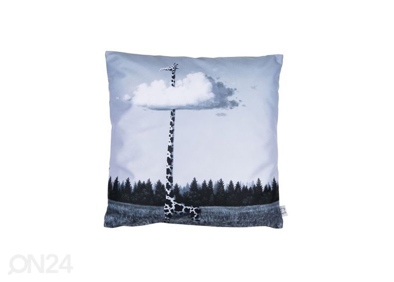 Koristetyyny i Pilviä 40x40 cm kuvasuurennos