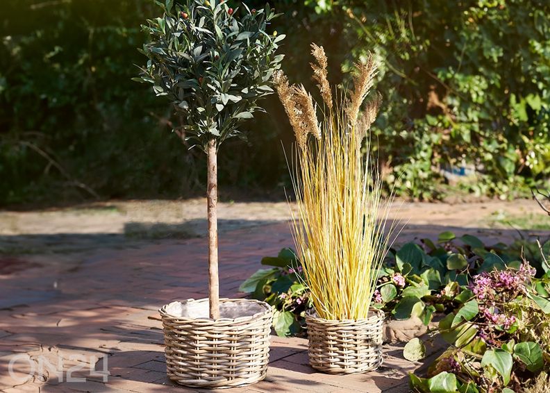 Korit Kalak, 2 kpl kuvasuurennos