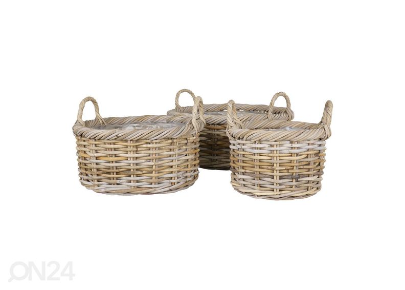 Korit / kukkaruukut Bạc Liêu, 3 kpl kuvasuurennos