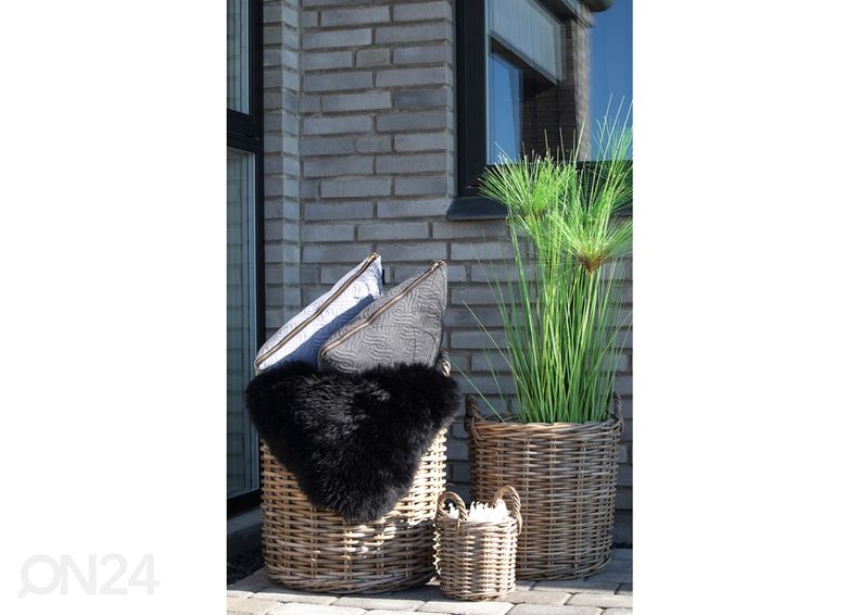 Korit / kukkaruukut Biên Hòa, 4 kpl kuvasuurennos