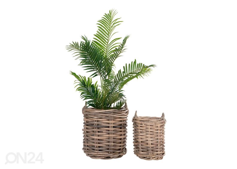 Korit / kukkaruukut Cần Thơ, 2 kpl kuvasuurennos