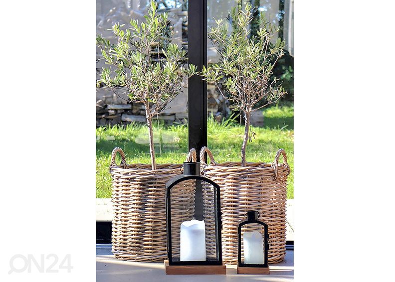 Korit / kukkaruukut Dĩ An, 2 kpl kuvasuurennos