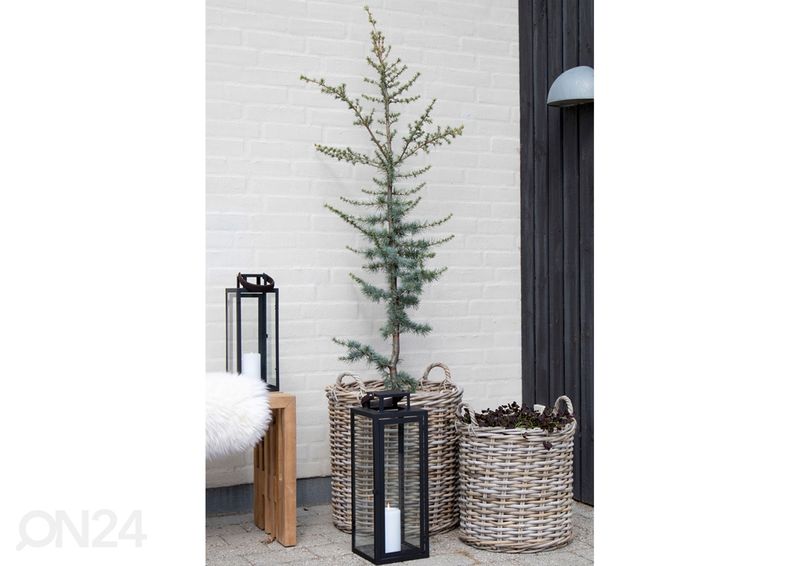 Korit / kukkaruukut Dĩ An, 2 kpl kuvasuurennos