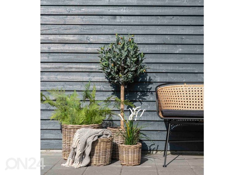 Korit / kukkaruukut Nam Định, 4 kpl kuvasuurennos