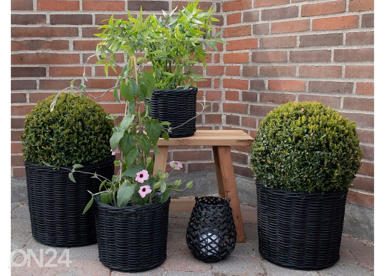 Korit / kukkaruukut Nam Định, 4 kpl kuvasuurennos