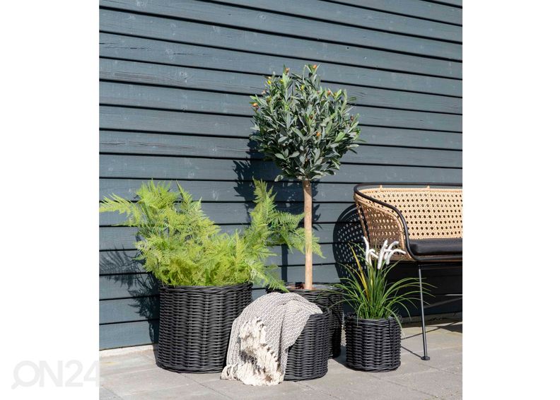 Korit / kukkaruukut Nam Định, 4 kpl kuvasuurennos