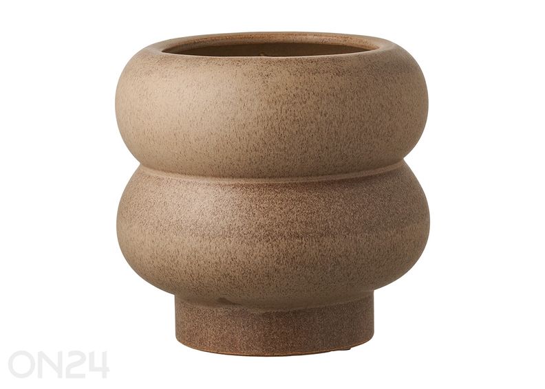 Kukkaruukku kuvasuurennos