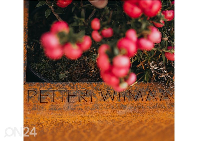 Kukkaruukku Cor-Ten teräksestä Fat Ballerina L kuvasuurennos