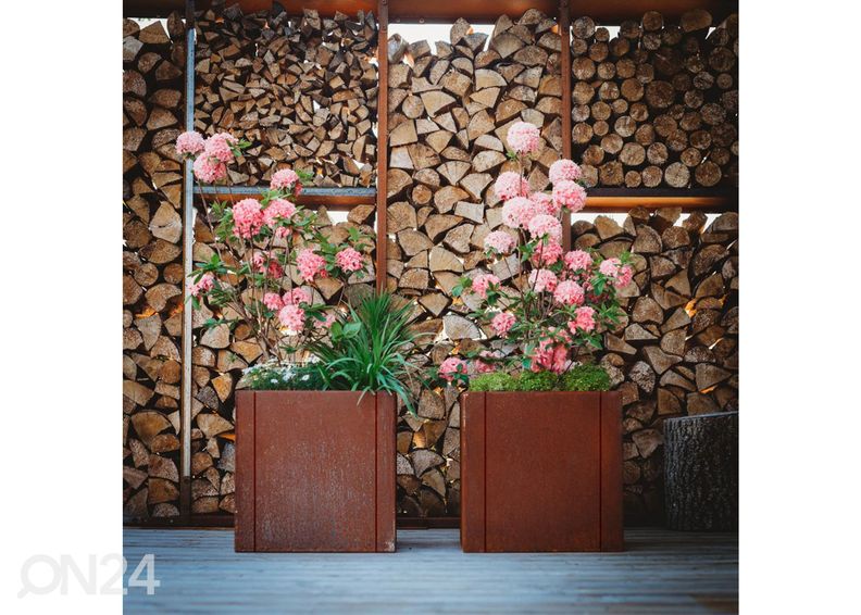 Kukkaruukku Cor-Ten terästä Clara M kuvasuurennos