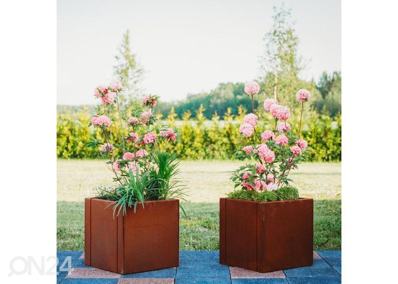 Kukkaruukku Cor-Ten terästä Clara M kuvasuurennos