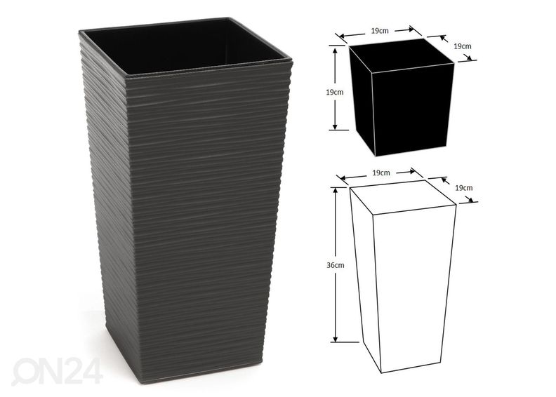 Kukkaruukku Finezia Dluto XS kuvasuurennos
