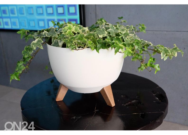 Kukkaruukku jaloilla Roma Legs Ø 29 cm kuvasuurennos