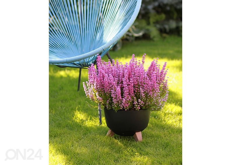 Kukkaruukku Roma jaloilla Ø 29 cm kuvasuurennos