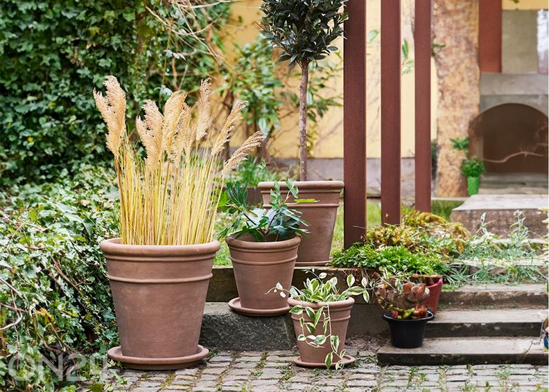 Kukkaruukut 4 kpl kuvasuurennos