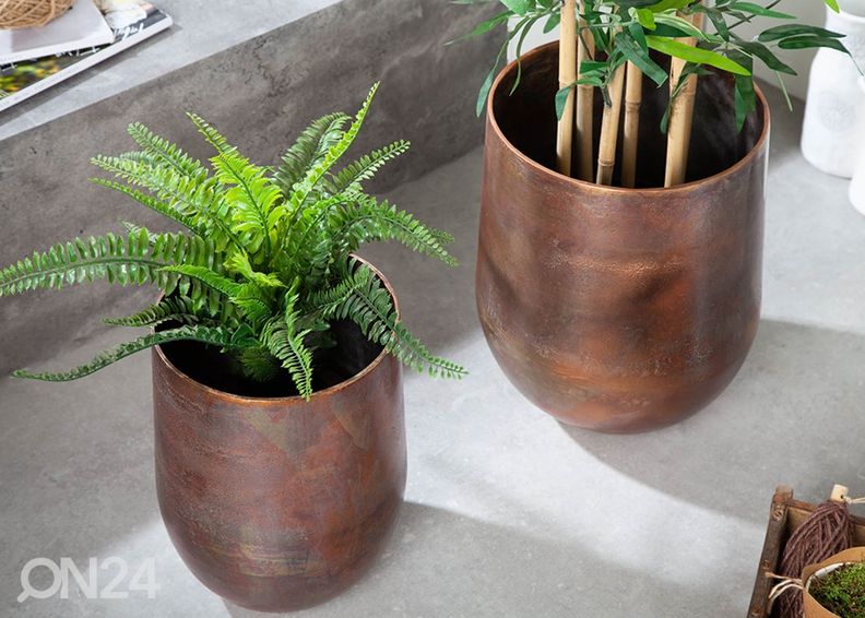 Kukkaruukut Copper L, 2 kpl kuvasuurennos