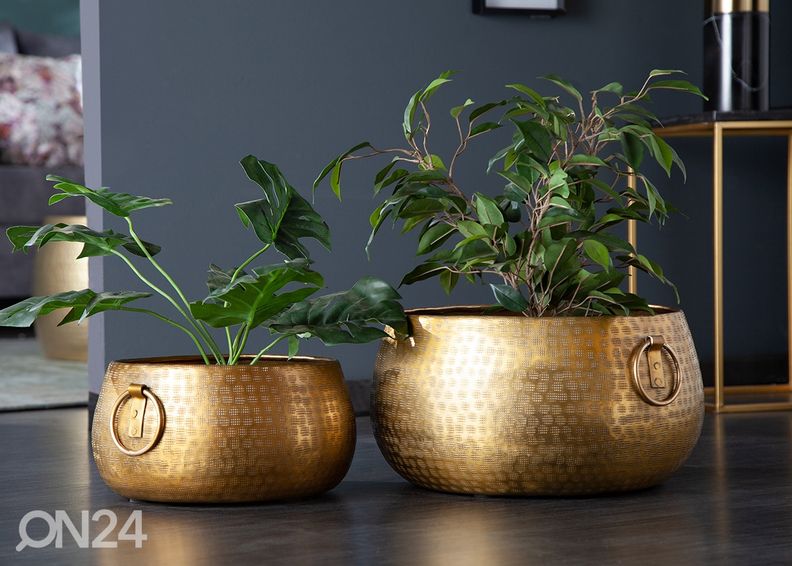 Kukkaruukut Orient, 2 kpl kuvasuurennos