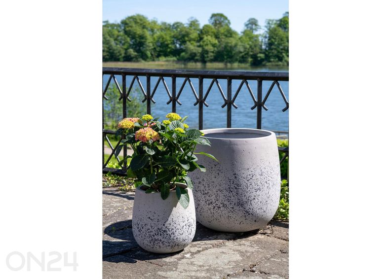 Kukkaruukut Sutton, 2 kpl kuvasuurennos