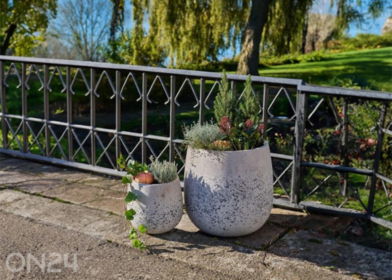 Kukkaruukut Sutton, 2 kpl kuvasuurennos