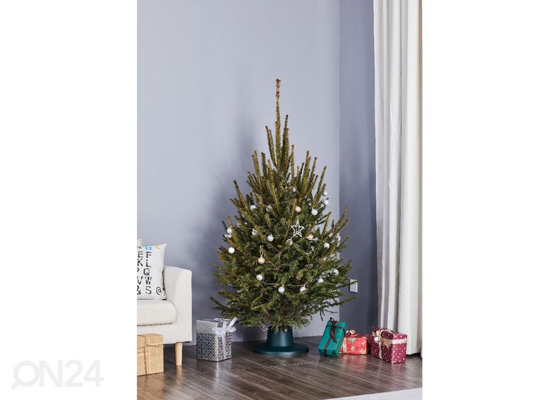 Kuusenjalka Anna, vihreä kuvasuurennos