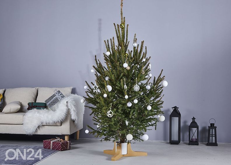 Kuusenjalka Sophie, valkoinen/ pyökki kuvasuurennos