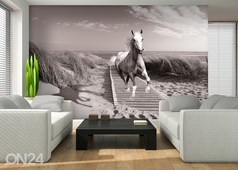 Kuvatapetti White Horse Beach Black And White 416x254 cm kuvasuurennos