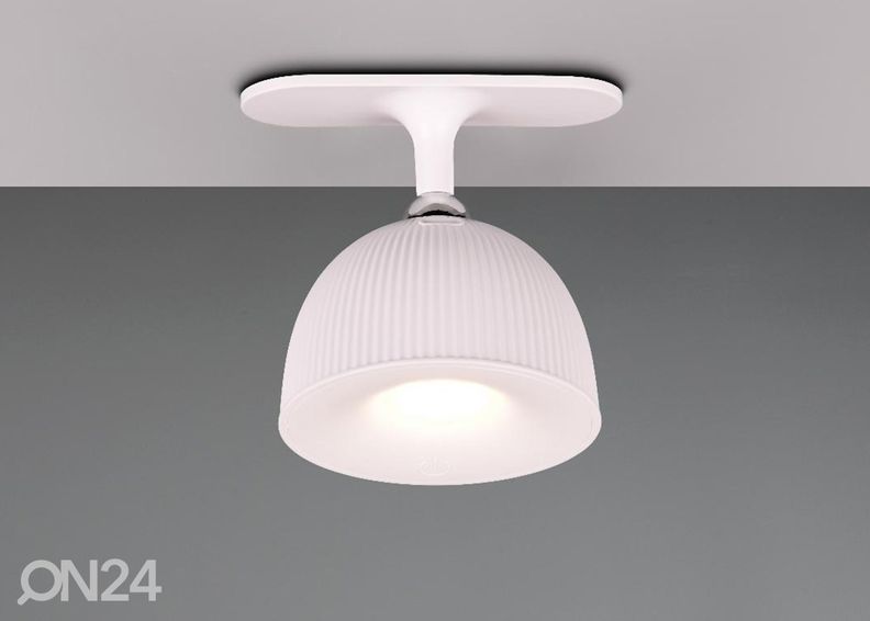 Ladattava pöytävalaisin Maxima kuvasuurennos