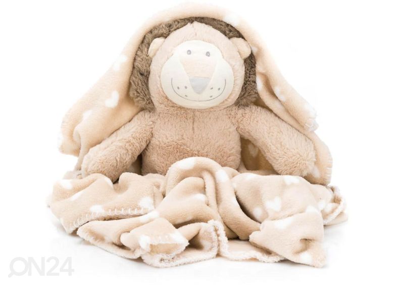 Lahjapakkaus Leijona, Fillikid kuvasuurennos