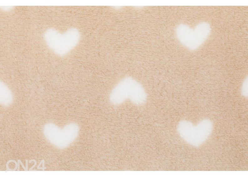 Lahjapakkaus Leijona, Fillikid kuvasuurennos