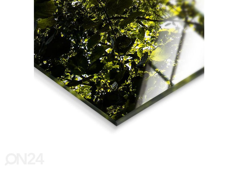 Lasikuva Idyll 50x70 cm kuvasuurennos