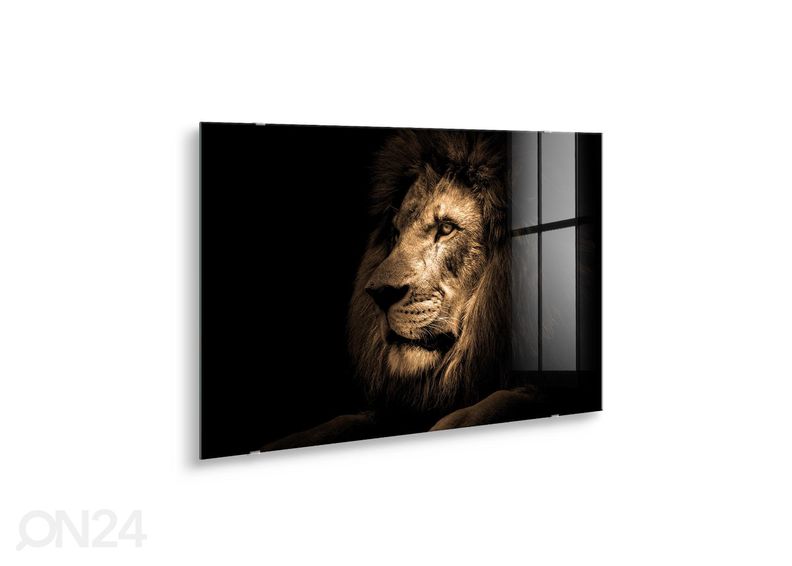 Lasikuva Lion 100x70 cm kuvasuurennos