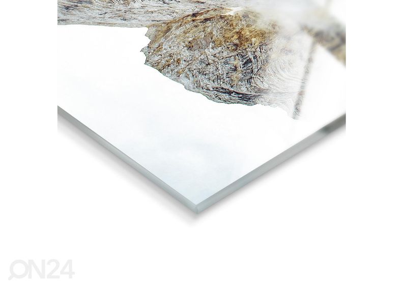 Lasikuva Tyrol Hut 50x70 cm kuvasuurennos