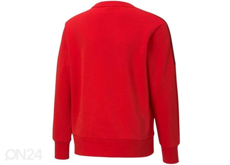 Lasten collegepaita Puma Alpha Crew FL kuvasuurennos