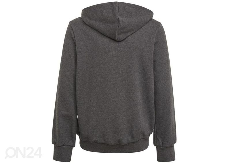 Lasten huppari Adidas Girls Bos Hoodie kuvasuurennos