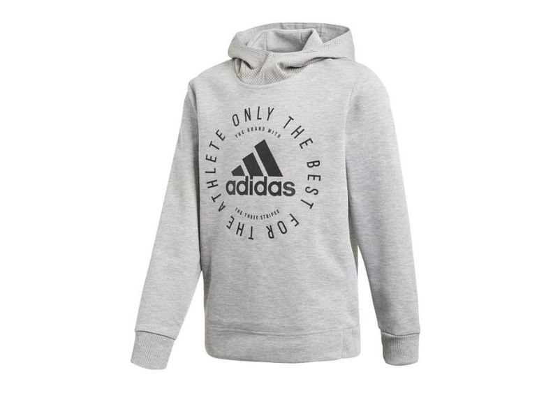 Lasten huppari Adidas Sport ID HD Junior DV1701 kuvasuurennos