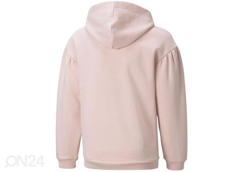 Lasten huppari Puma Alpha Hoodie FL kuvasuurennos