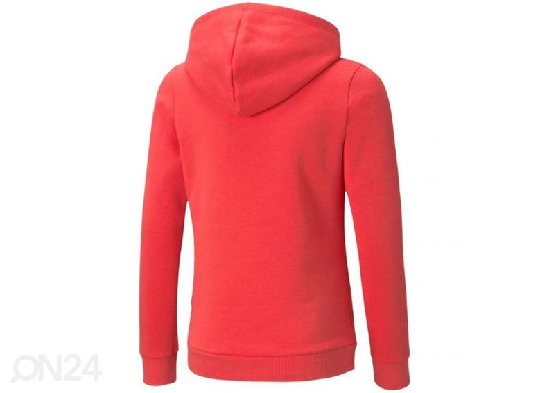 Lasten huppari Puma ESS Logo Hoodie FL kuvasuurennos