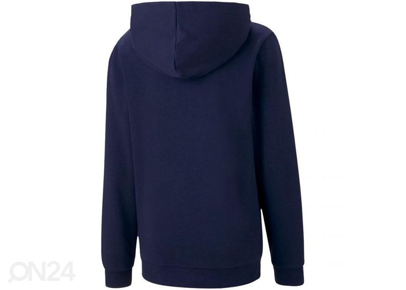 Lasten huppari Puma teamGOAL 23 Casuals kuvasuurennos