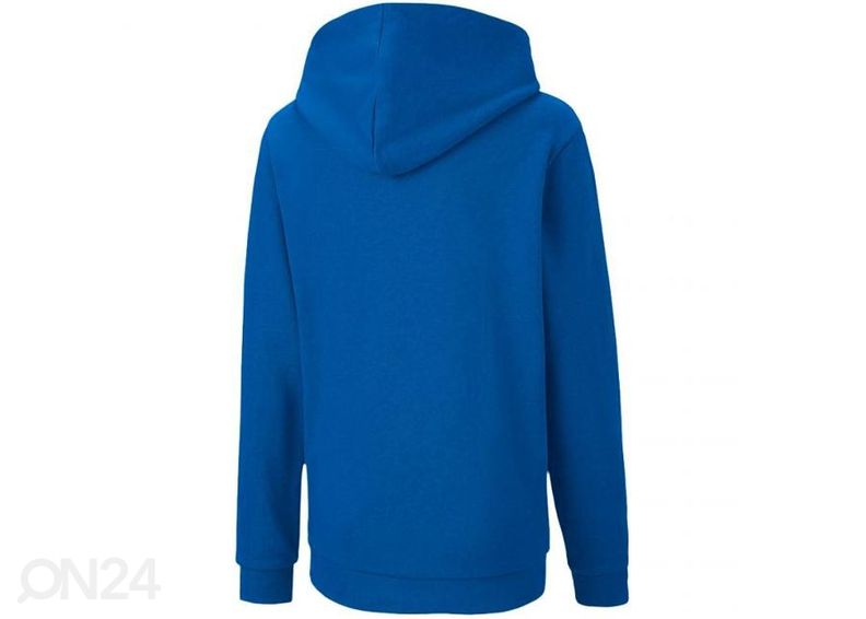 Lasten huppari Puma teamGOAL 23 Casuals kuvasuurennos