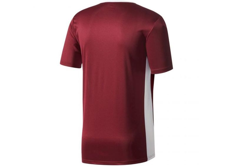 Lasten jalkapallopaita Adidas ENTRADA 18 Jr CD8430 kuvasuurennos