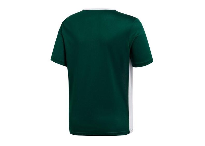 Lasten jalkapallopaita adidas Entrada 18 Jr CE9563 kuvasuurennos