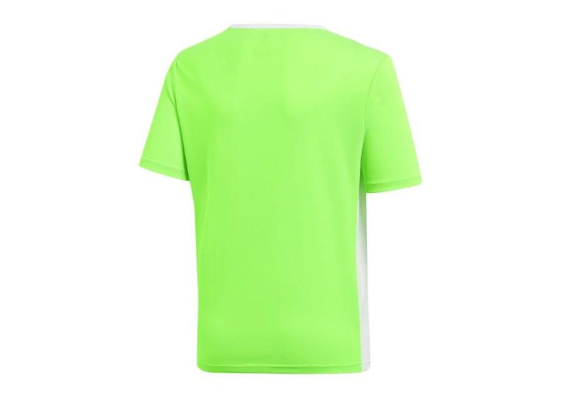Lasten jalkapallopaita adidas Entrada 18 Jr CE9755 kuvasuurennos