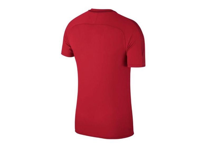 Lasten jalkapallopaita Nike JR Academy 18 Jr 893750-657 kuvasuurennos