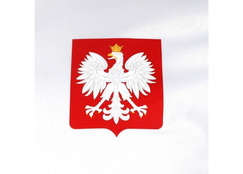 Lasten jalkapallopaita Nike Polska Youth Away Supporters Tee Junior 846807-100 kuvasuurennos