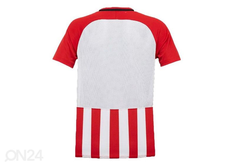 Lasten jalkapallopaita Nike Striped Division kuvasuurennos