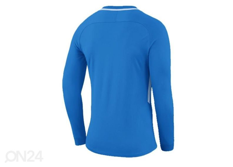 Lasten maalivahdin paita Nike Dry Park III LS Junior 894516-406 kuvasuurennos