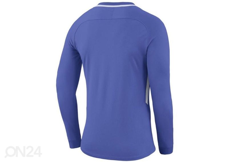 Lasten maalivahdin paita Nike Dry Park III LS Junior 894516-518 kuvasuurennos