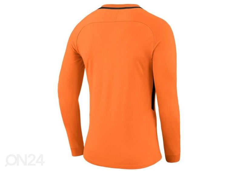 Lasten maalivahdin paita Nike Dry Park III LS Junior 894516-803 kuvasuurennos