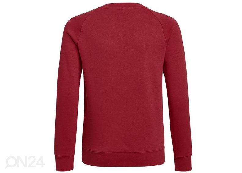 Lasten treenipaita Adidas Arsenal FC Crew Sweat kuvasuurennos