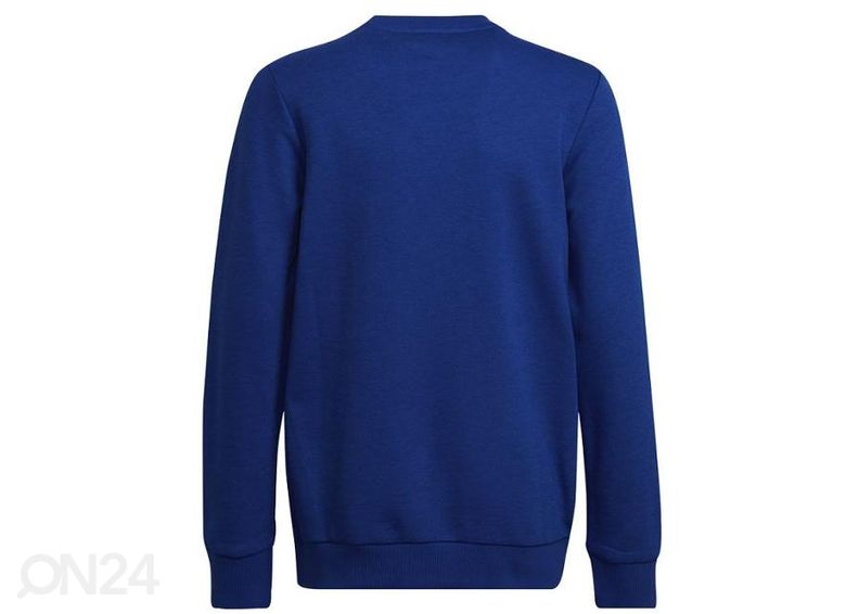 Lasten treenipaita Adidas B BL Swt Jr HE9285 kuvasuurennos